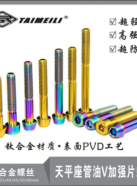 EFsolid钛合金螺丝 锥头/圆柱头螺丝M5X30-65mm天平座管 码表螺丝
