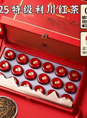 硒楚园2026湖北恩施硒红茶特级利川红特产商务小罐茶叶送礼盒234g
