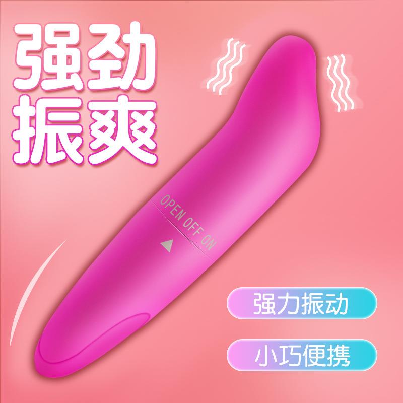 海豚迷你震动棒震动棒女士WQJ5191