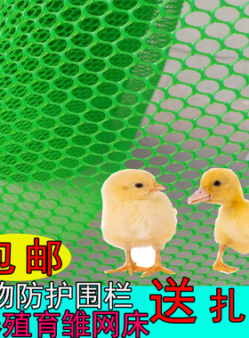 绿色塑料阳台防护网片安全防坠网养鸭养蜂养鸡育雏脚垫养殖围栏网