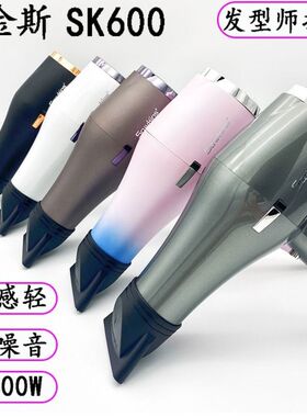 索金斯SK600负离子发廊家用护发学生发型师吹风机大功率新款智能