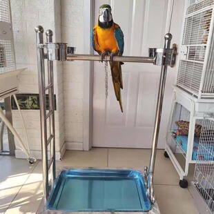 中大型鹦鹉不锈钢站架大型鸟磨脚站杠防叼食盆带爬梯玩具挂钩鸟架