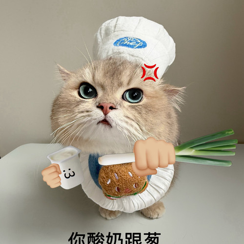 噗扑实验室猫咪天妇罗厨师帽头套网红宠物狗狗帽子可爱搞怪头饰