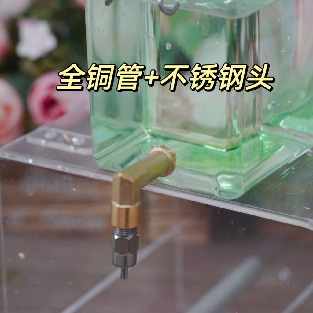 不锈钢撞针水壶全自动宠物小鸟饮水器专为鹦鹉玄凤牡丹虎皮文鸟