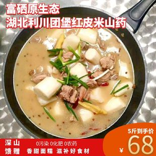 恩施利川新鲜堡高山特产富硒红皮米山药非铁棍淮怀山药粉面糯现挖