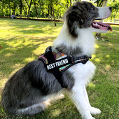 PETOPT防爆冲脖圈狗狗胸背带牵引绳柯基边牧金毛萨摩背心式 牵引带