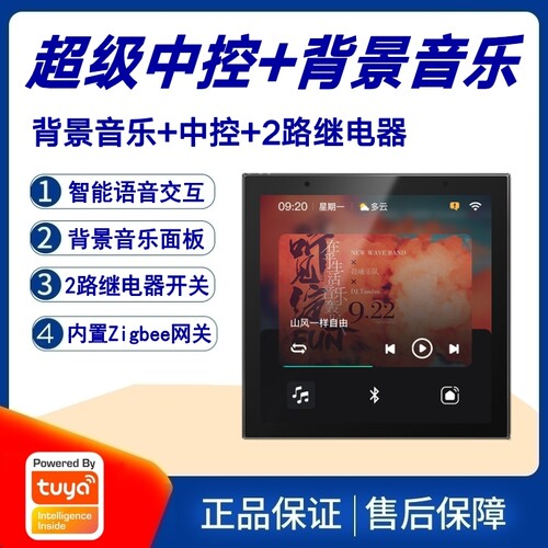 涂鸦方案中控屏背景音乐主机