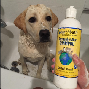 包邮【妞妞家美国No.1的Earthbath纯天然宠物沐浴露猫狗472ml现货