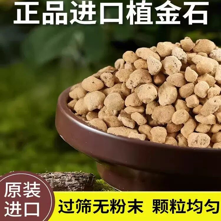 日本进口植金石兰花专用