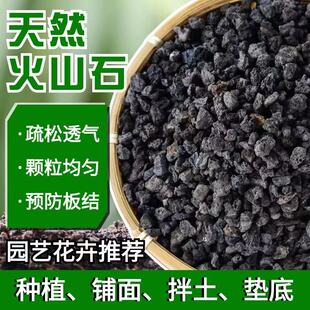 天然黑火山石颗粒养花铺面拌土石料兰花专用营养土垫底黑色火山岩