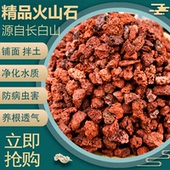 火山石颗粒兰花专用土多肉铺面石盆栽火山岩家用植料水族垫底透气