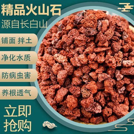 火山石颗粒兰花专用土多肉铺面石盆栽火山岩家用植料水族垫底透气