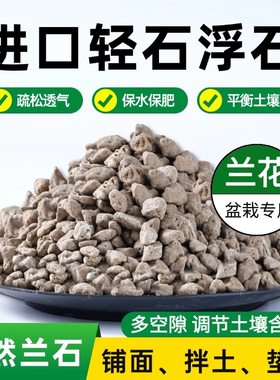 天然轻石浮石颗粒兰花专用铺面拌土垫底多肉介质土君子兰种植多肉