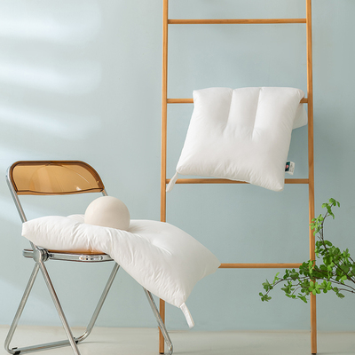 全棉A类抗菌防螨枕头护颈椎助睡眠冬季高中低枕芯家用单个