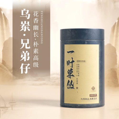 老枞乌岽兄弟仔单丛凤凰单枞茶