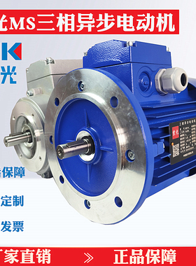 MS6324/7114/7124/7134/8014/8024/8034/90S4中研紫光三相电机