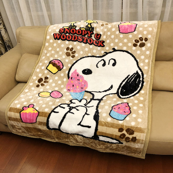 卡通拉舍尔双层毯毛毯毯子盖毯沙发毯膝盖毯规格：100*140