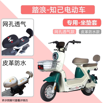 专用踏浪知己电瓶车座套防水防晒