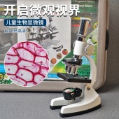 台式 1200倍儿童生物显微镜带灯放大镜高清学生观察植物昆虫标本