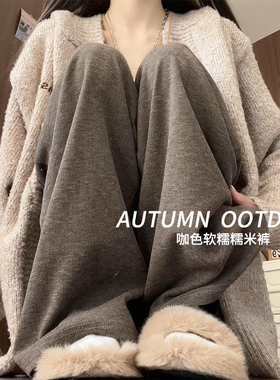 咖色软糯米裤女春秋2025新款休闲宽松bf慵懒小个子针织加绒阔腿裤