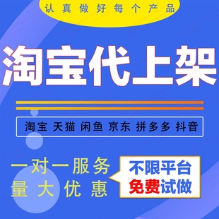 淘宝天猫店铺装修代上架宝贝手工上传京东商品代发布拼多多传产品