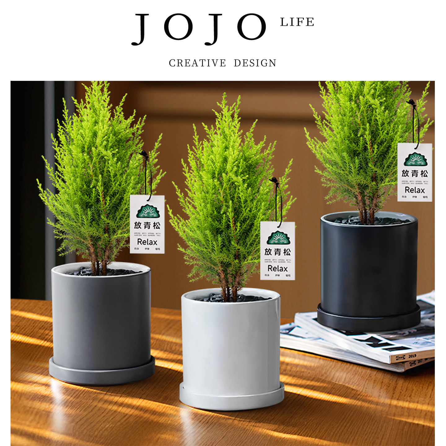 JOJO'SLIFEPD绿植香松办公桌面