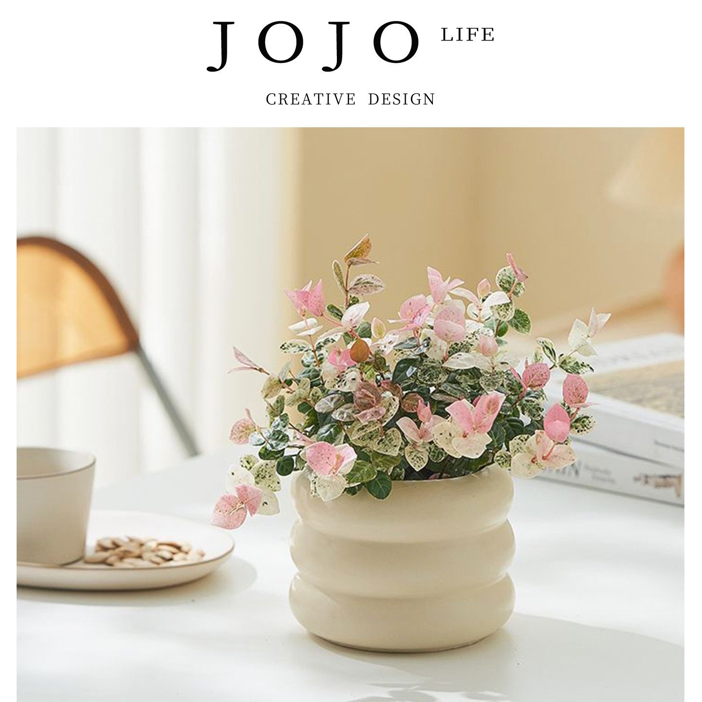 JOJO'SLIFEPD金钱木小盆栽盆景