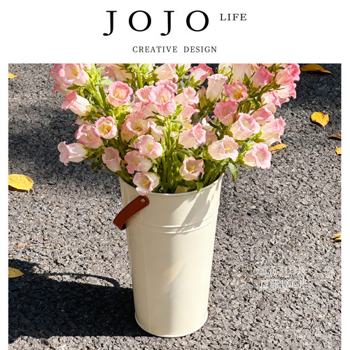 JOJO'S L. PD.Cegier.北欧风醒花桶家用泡鲜花束插花深水桶 |咽揣