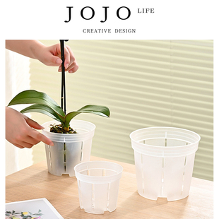 PD.Full.花盆兰花水苔蝴蝶兰专用透明青山塑料 满稍 JOJO