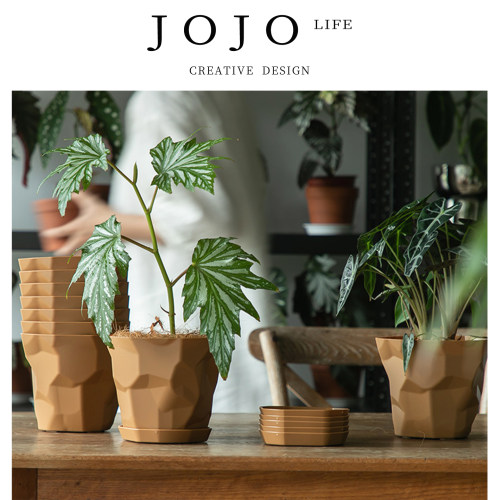 JOJO'SL.PD.塑料多肉花盆加厚