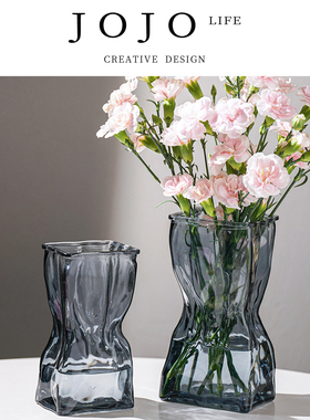 JOJO'S L. PD.several.ins风玻璃花瓶简约透明北欧装饰摆件 |数介