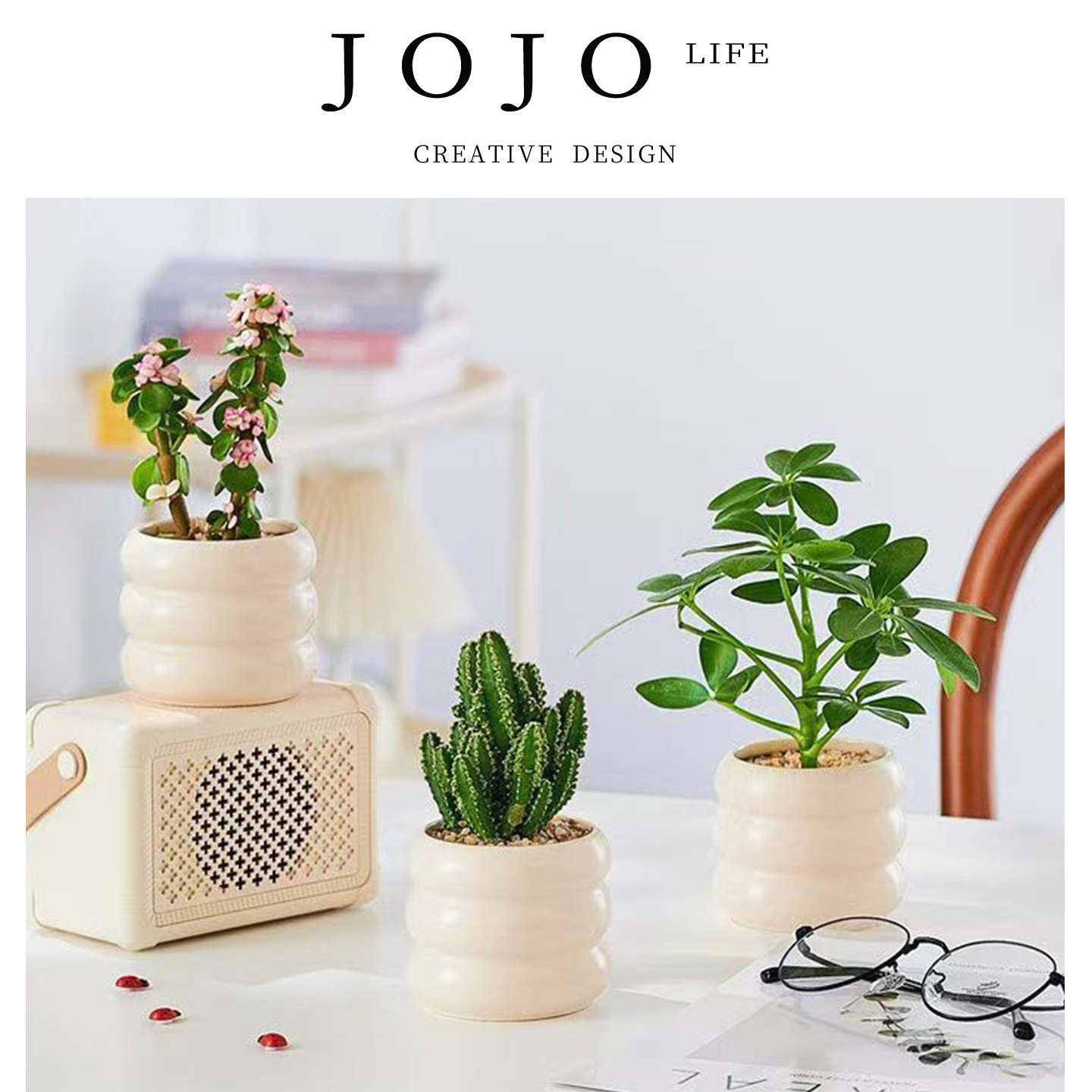 JOJO'SLIFEPD发财树小盆栽植物