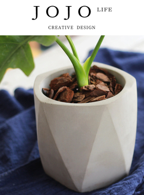 JOJO'S L. PD.throb.小花盆几何多边形创意简约透气 | 悸动