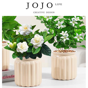 PD.mashpot.发财树盆栽绿萝桌面植物栀子花绿植 嘛桶 JOJO