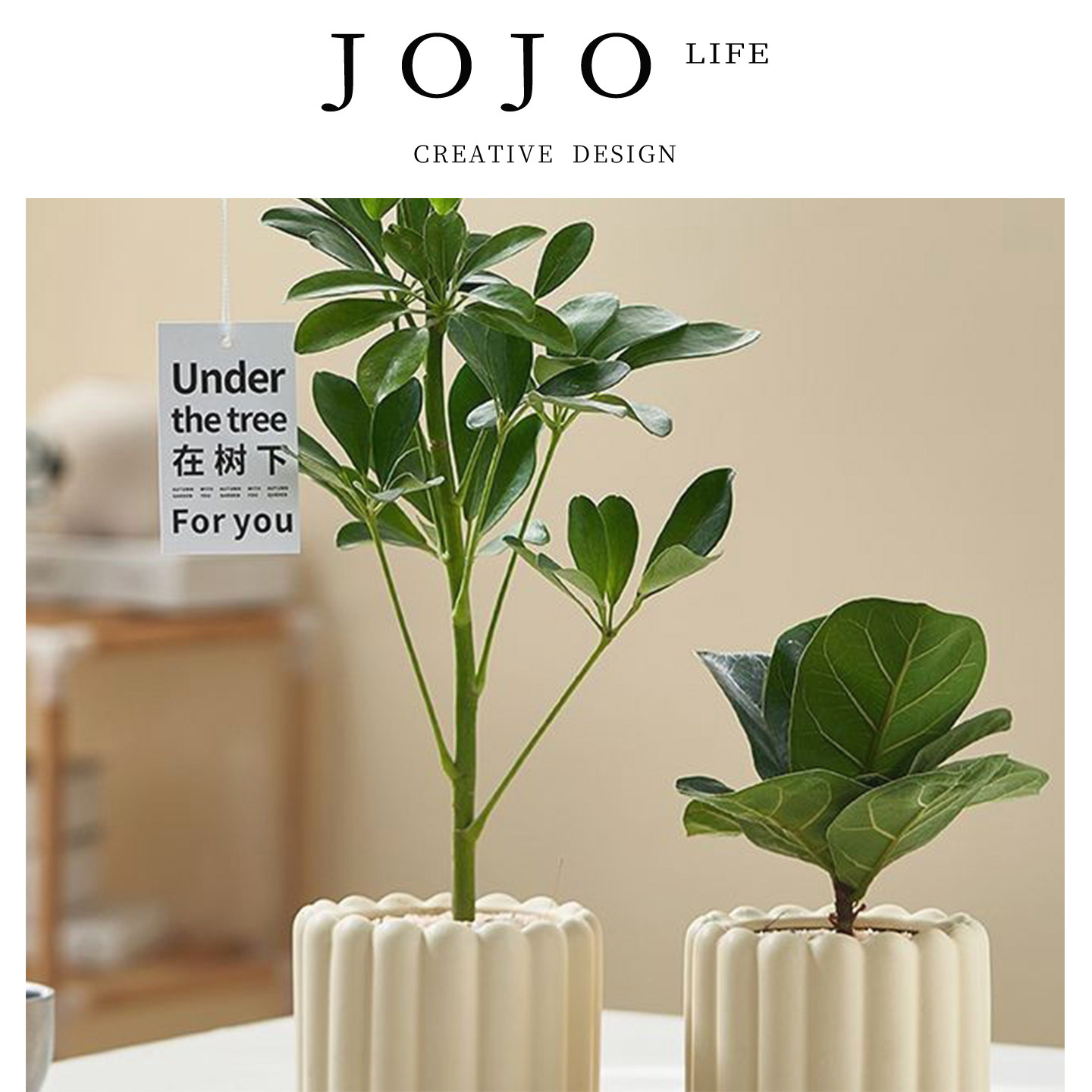 JOJO'SLIFEPD绿植摆件通用空气