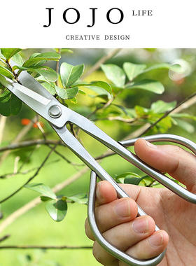 JOJO'S L. PD.arched. 嫩叶剪刀盆景工具树枝剪加长不锈钢 | 仍拱
