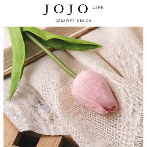 JOJO'SLIFEPDPU迷你郁金香