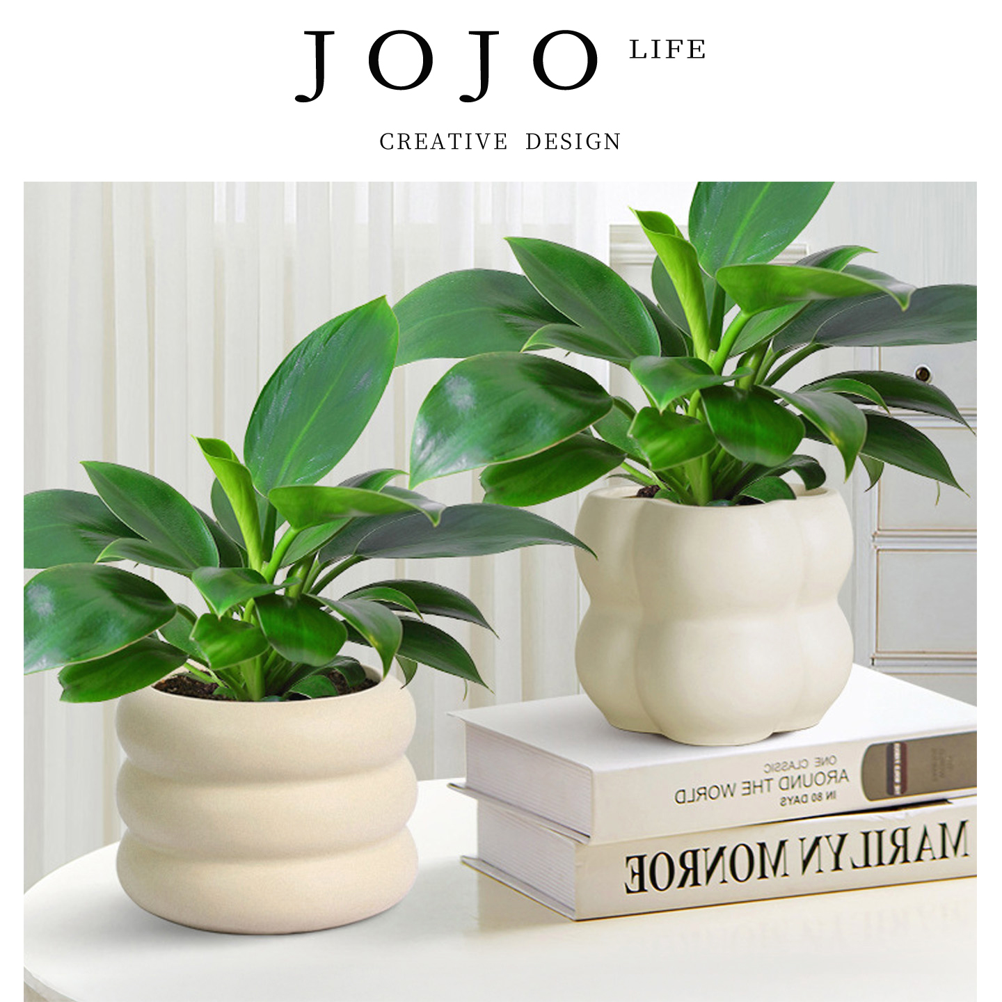 JOJO'SLIFEPD金钻小盆栽客绿植