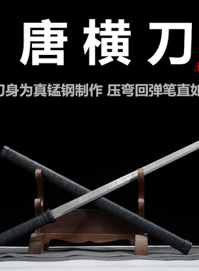 龙泉镇宝剑唐横刀绣春刀一体刀剑唐剑高锰钢刀具防身冷兵器未开刃