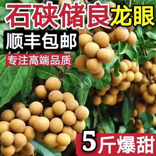 现摘广东龙眼新鲜水果高州石硖储良龙眼桂圆当季孕妇水果5斤包邮