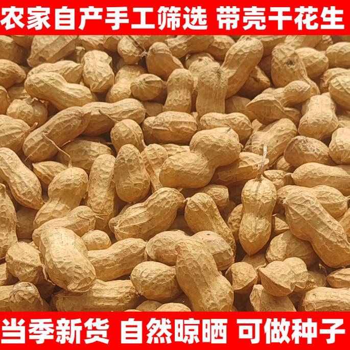 2026带壳生花生新货农家自种花生