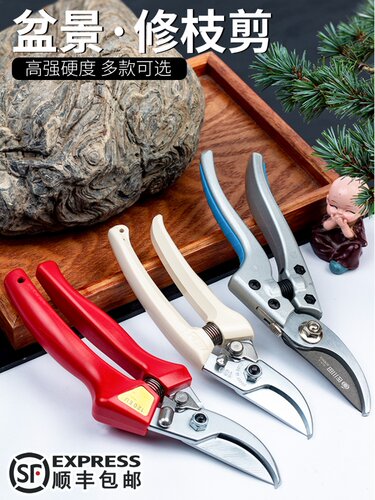 修枝剪盆景家用园林盆景剪子爱丽斯丝修剪粗树枝剪刀果树花剪园艺