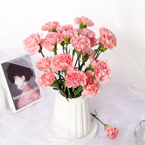 康乃馨鲜花云南直发