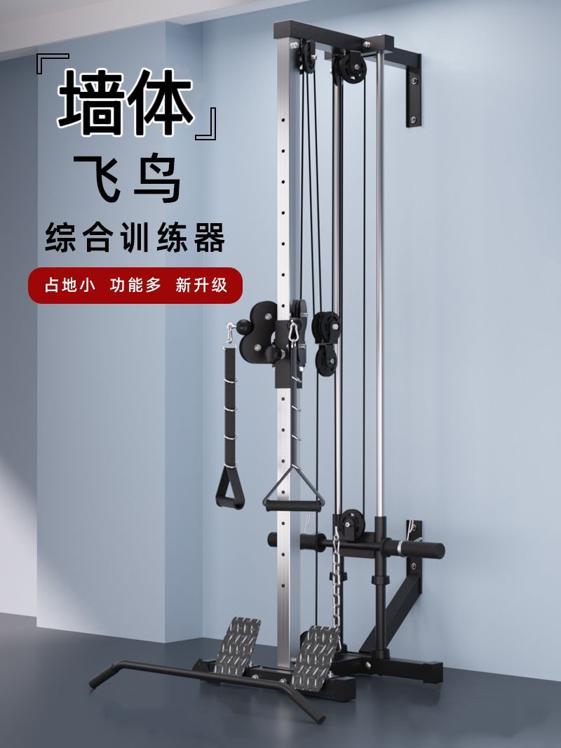 墙体飞鸟高位下拉训练器