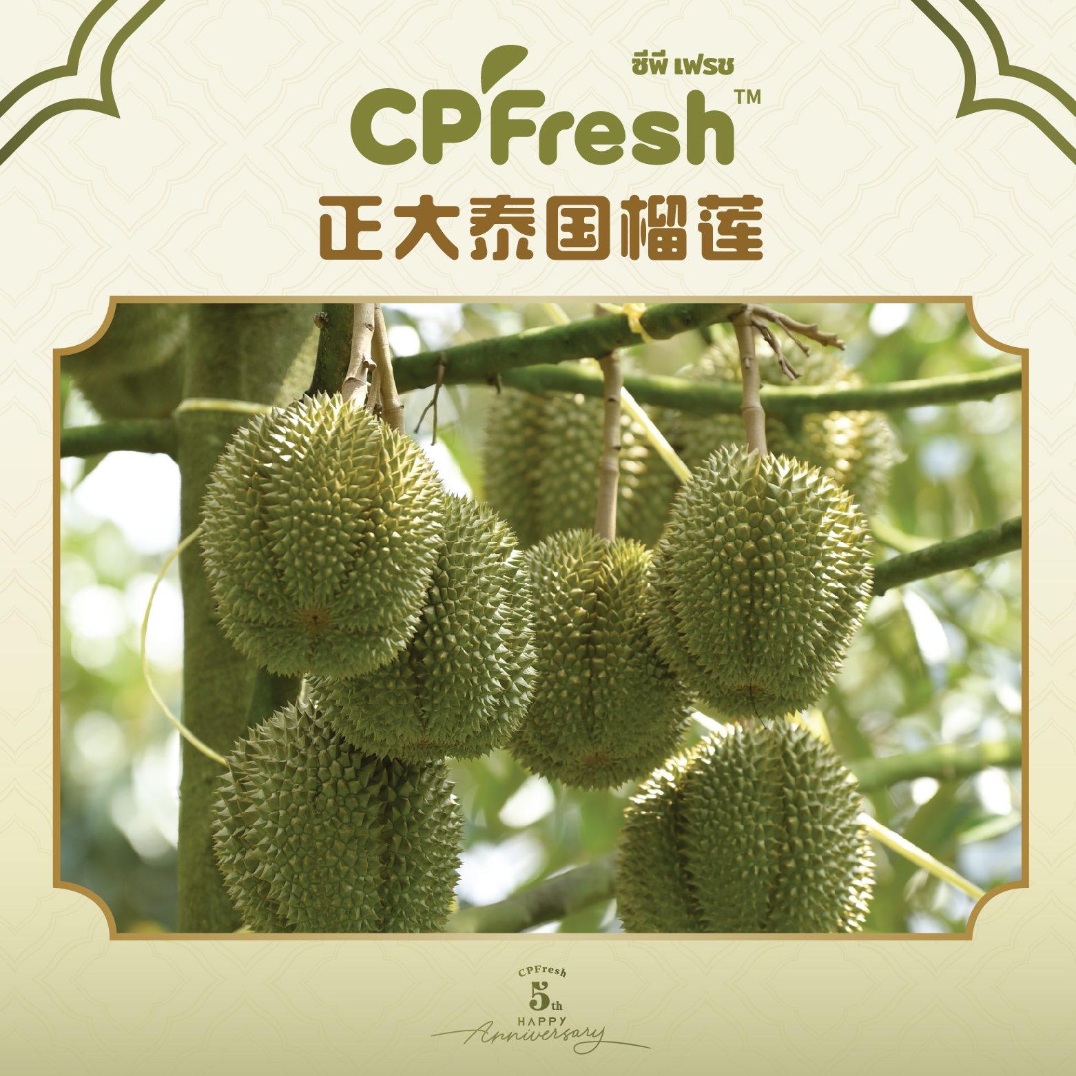 【所有爸媽的幸福家直播間】正大金枕榴蓮順豐包郵泰國進口新鮮