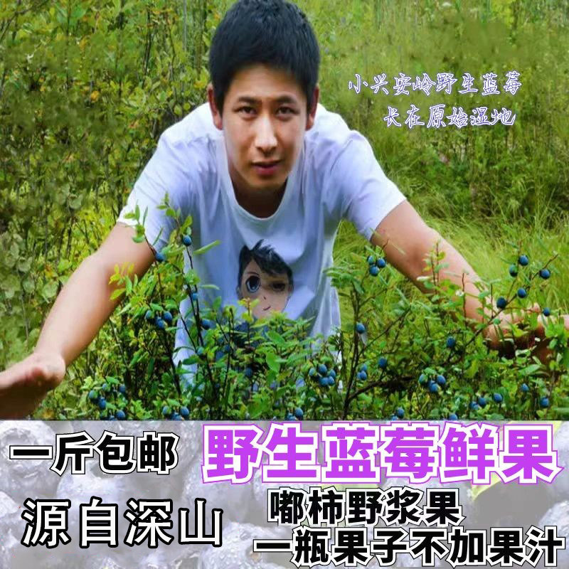 东北特产伊春野生蓝莓果冷冻小兴安岭嘟柿果野果水果浆果500g包邮