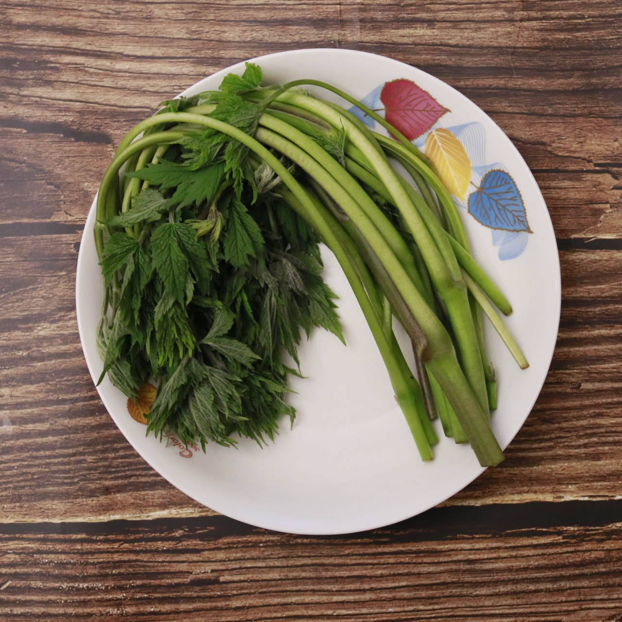 东北特产黑龙江伊春林区苦老芽新鲜山野菜500克包邮