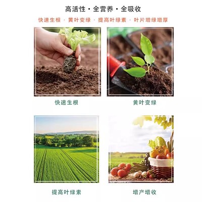 【下单立减50】叶面肥壮根提苗增绿通用中量元素水溶肥速绿120_gj