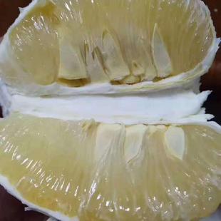 正宗梅州沙田柚10斤纯甜白心金柚新鲜孕妇水果柚子非容县沙田柚20