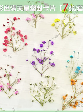 不同颜色干花满天星树叶标本塑封卡片枫叶银杏小清新文艺礼物书签